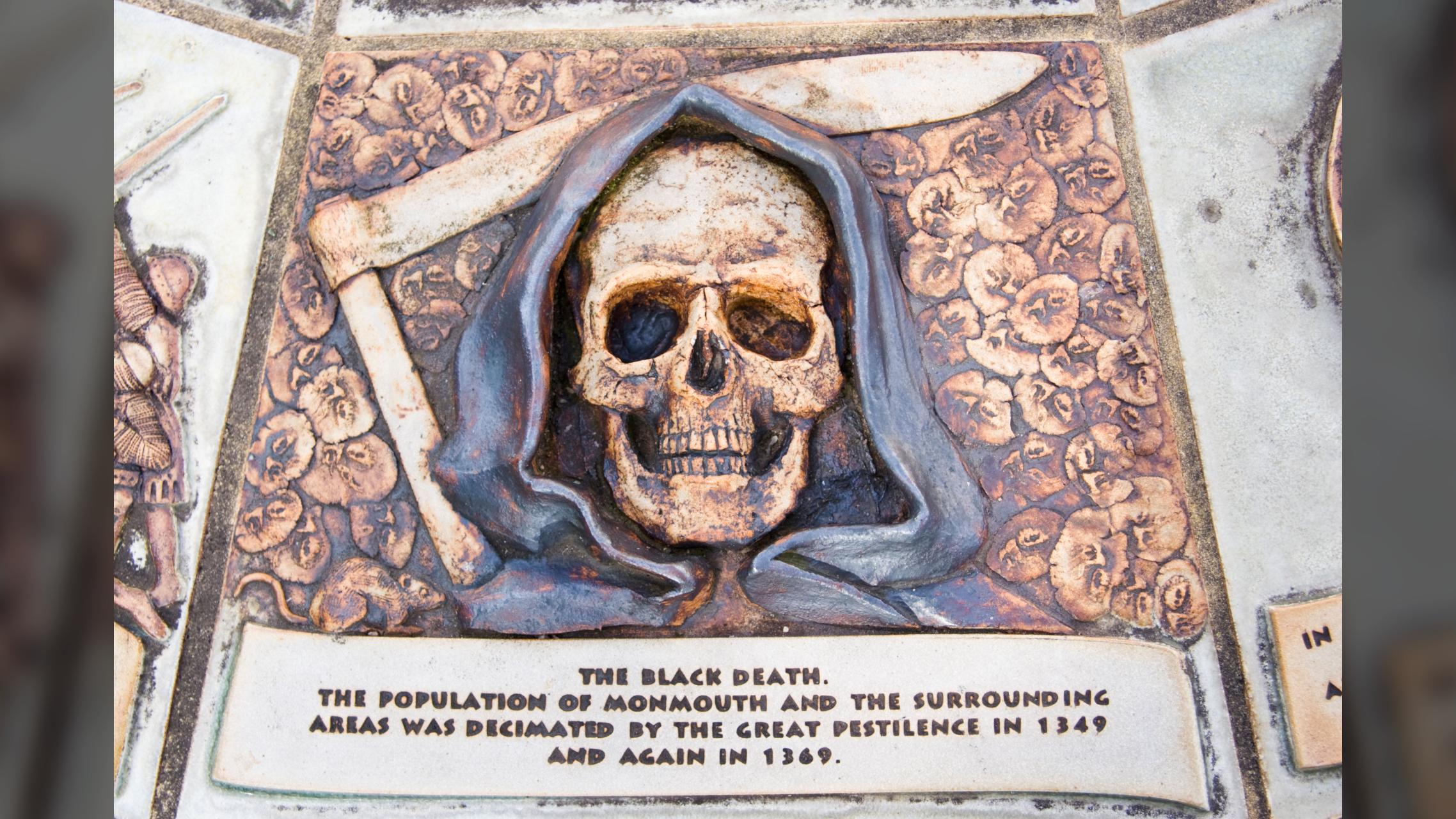 Volcanic eruption caused 'butterfly effect' that led to Black Death, researchers find |Life Sciences