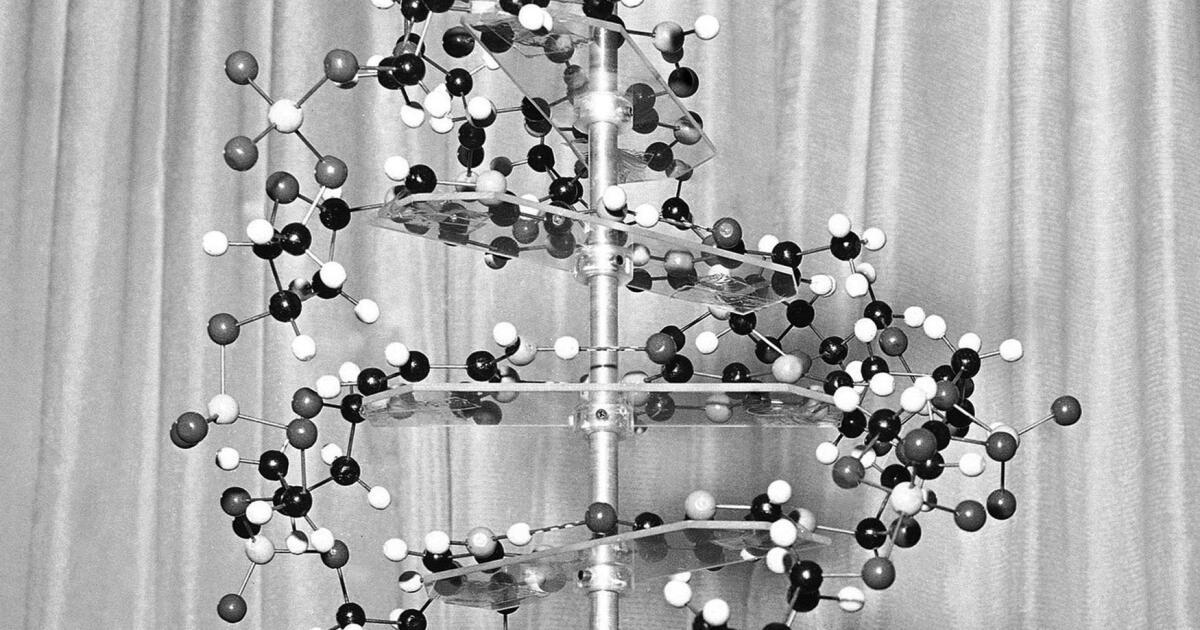 In Searching for Autism, Look to Genetics, Not Vaccines, Researchers Say - Los Angeles Times